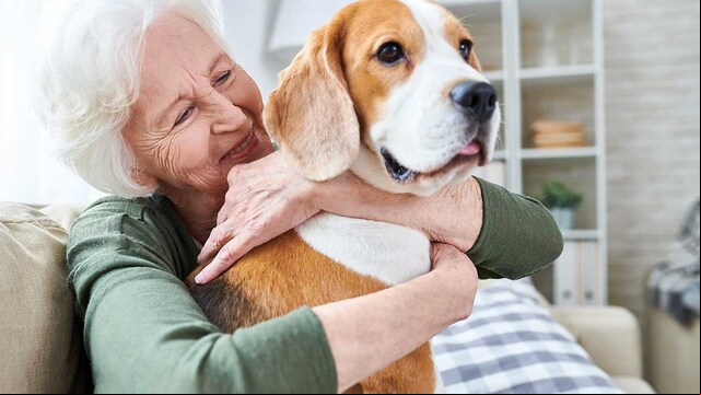 mascota puede ayudar mejorar vida soledad ancianos