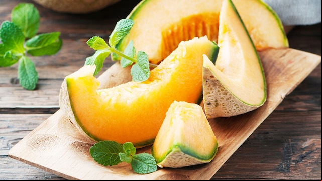 melon adobe