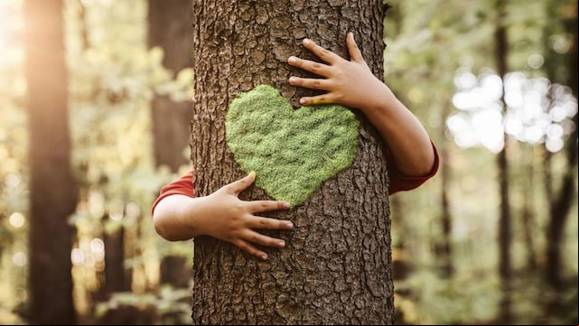 trastorno por d ficit de naturaleza en qu consiste 