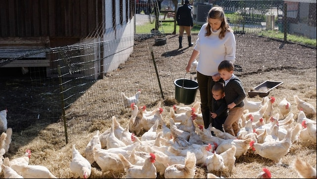 Stèphanie de Luxemburgo junto a sus hijos disfrutando de un día en la granja 
