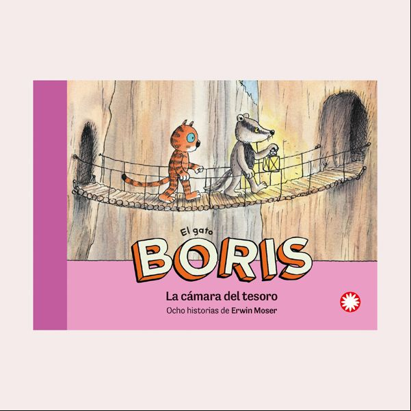 libro boris camara tesoro