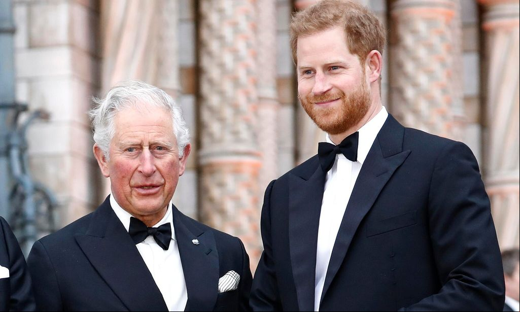 what prince harry had to say about visiting dad king charles