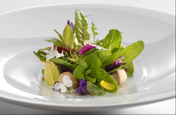 En la imagen, uno de los platos históricos de la cocina de 'Mugaritz': 'Verduras asadas y crudas, brotes y hojas, silvestres y cultivadas aliñadas con mantequilla avellana, salpicadas de semillas y pétalos, y aderezo generoso de queso Emmental'. Foto: José Luis López de Zubiría / Mugaritz.
