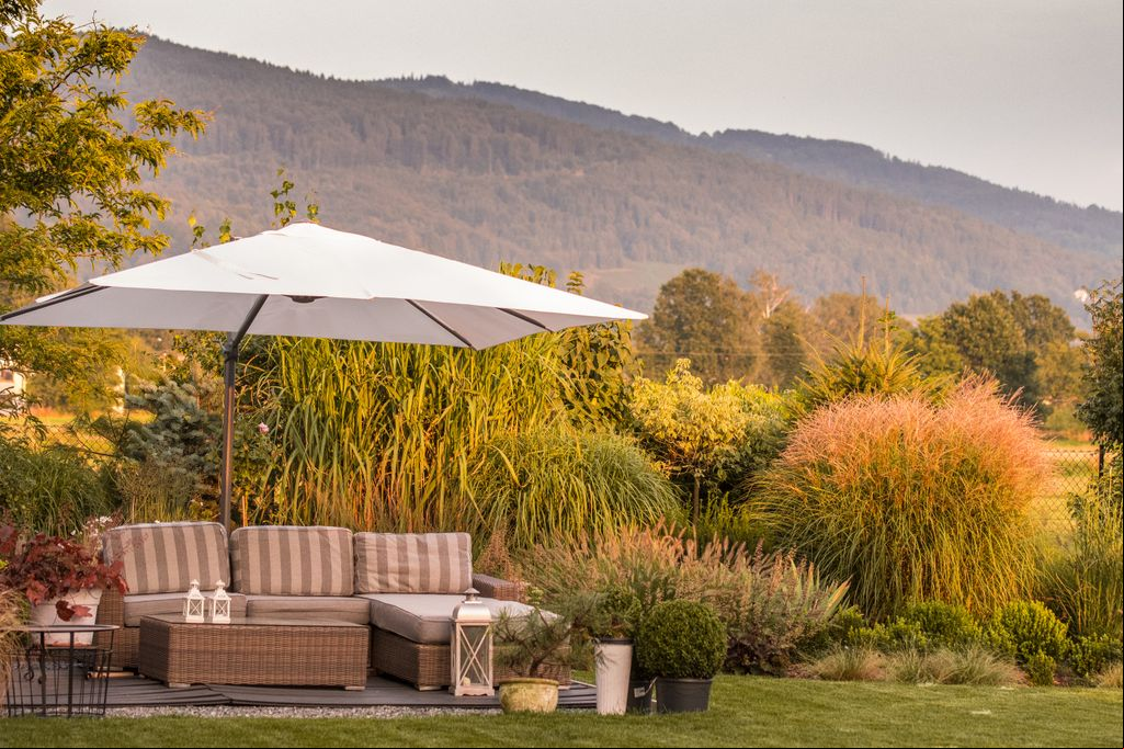 Jardín en otoño, con plantas que otoñean