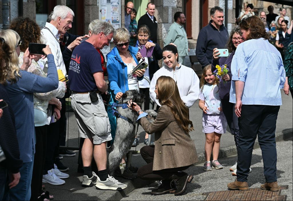 Media Image