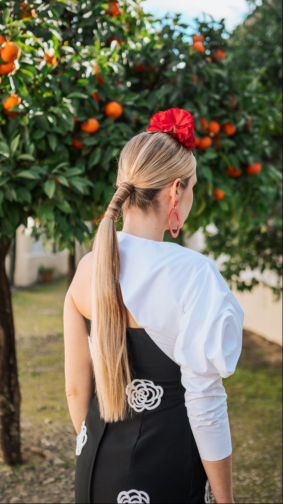 Peinados para la feria de abril de Sevilla coleta XL