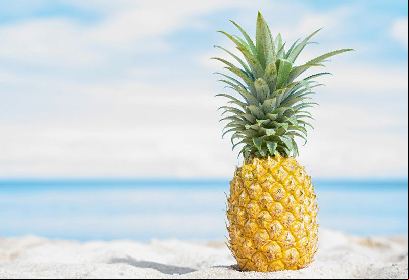 pina-adobe