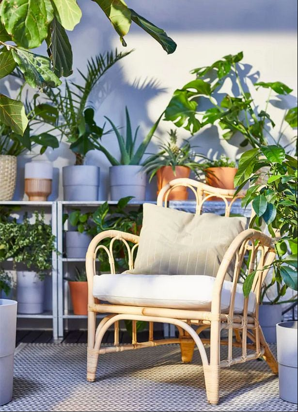 plantas jardín plagas 6