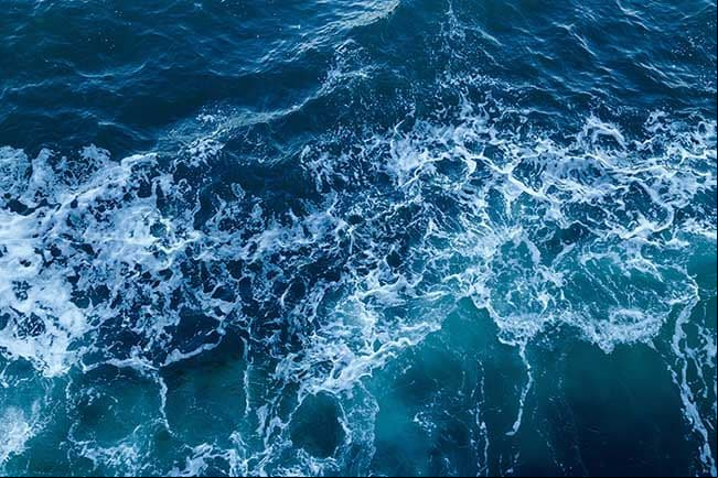 ¿Puede el agua de mar ayudar a tu sistema inmunológico?