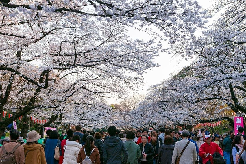 tokio-parques-Ueno