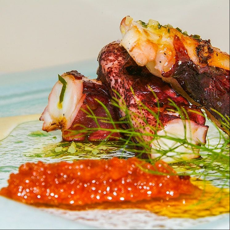 pulpo parrilla age