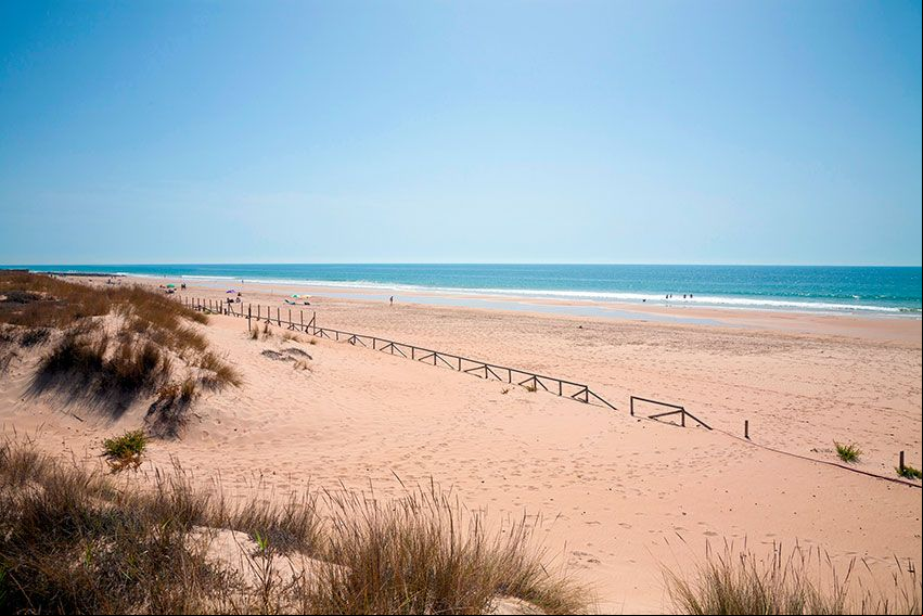 Playa de El Palmar, Cádiz.