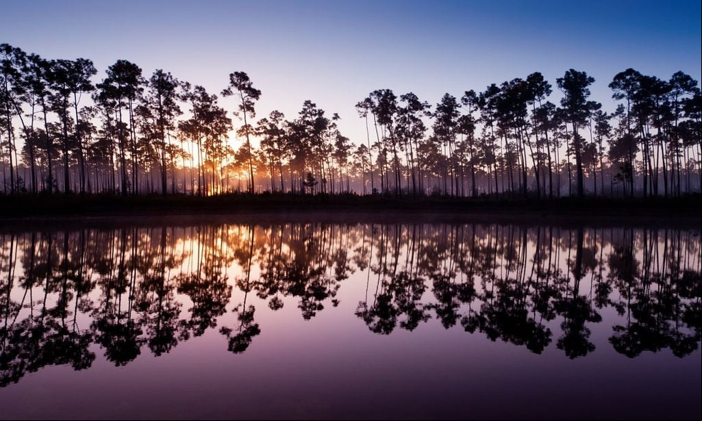 amanecer en long pine key lake en el parque nacional de evergladescerca de homestead florida estados unidos