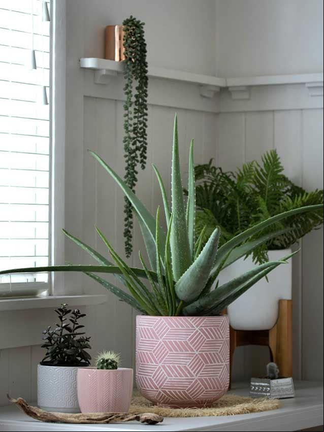 plantas dormitorio 06a