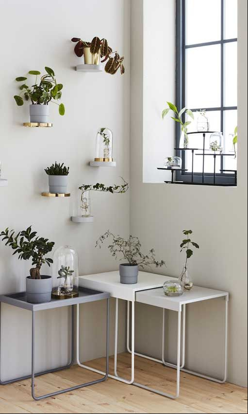 decorar plantas 8a