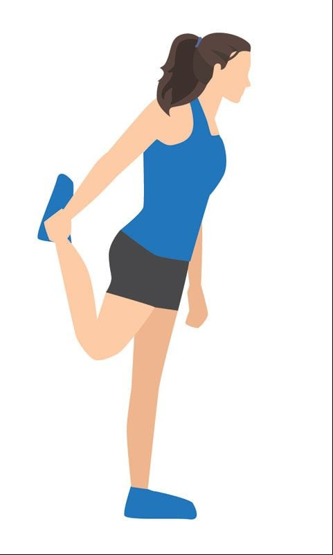 rodilla