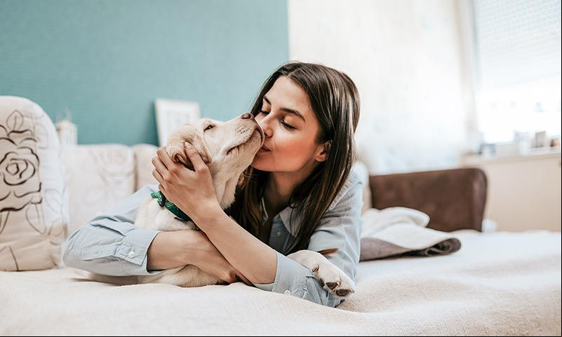 razas de perros cachorros
