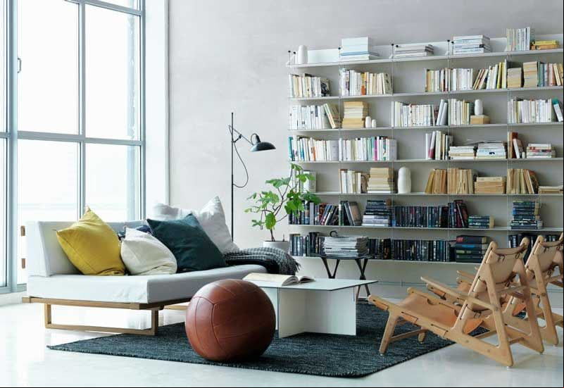 limpieza libros 2a