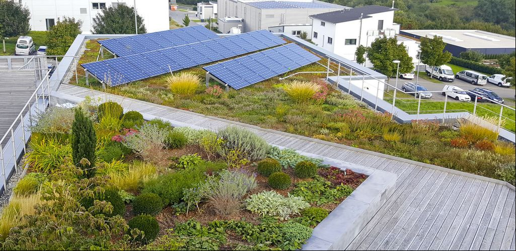 Cubierta biosolar y , aparte zona de solo techo verde