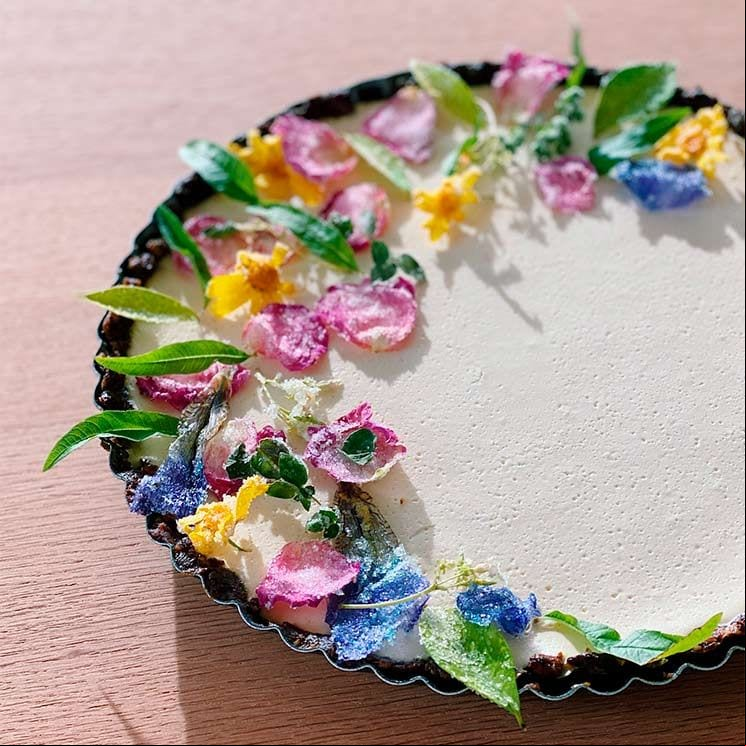 labne cheesecake