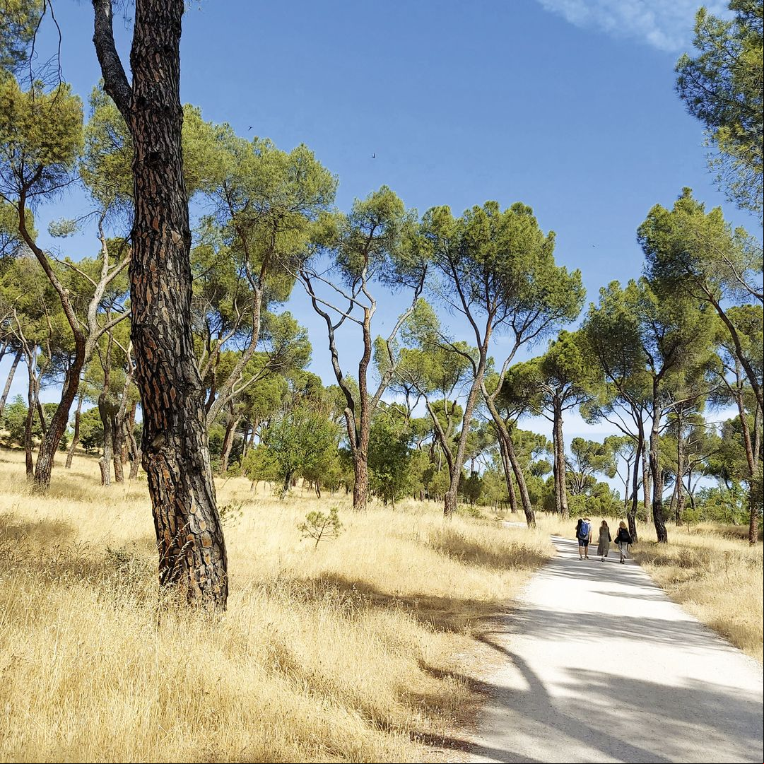 Casa de Campo: un oasis en la ciudad