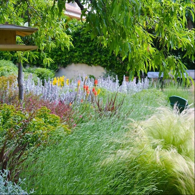 atraer biodiversidad jardin hola decoracion