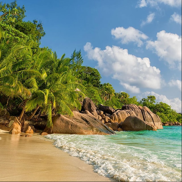 seychelles fwc35b
