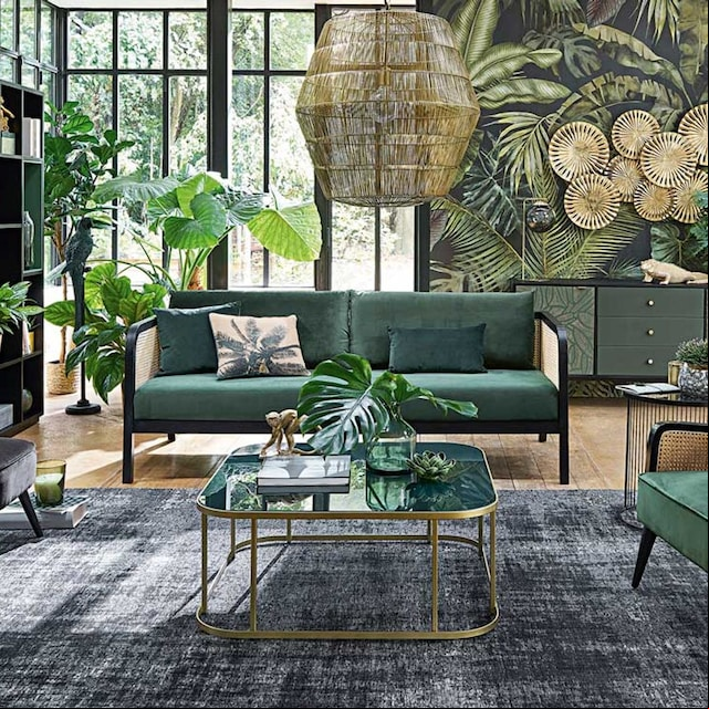 cuidados plantas 2t
