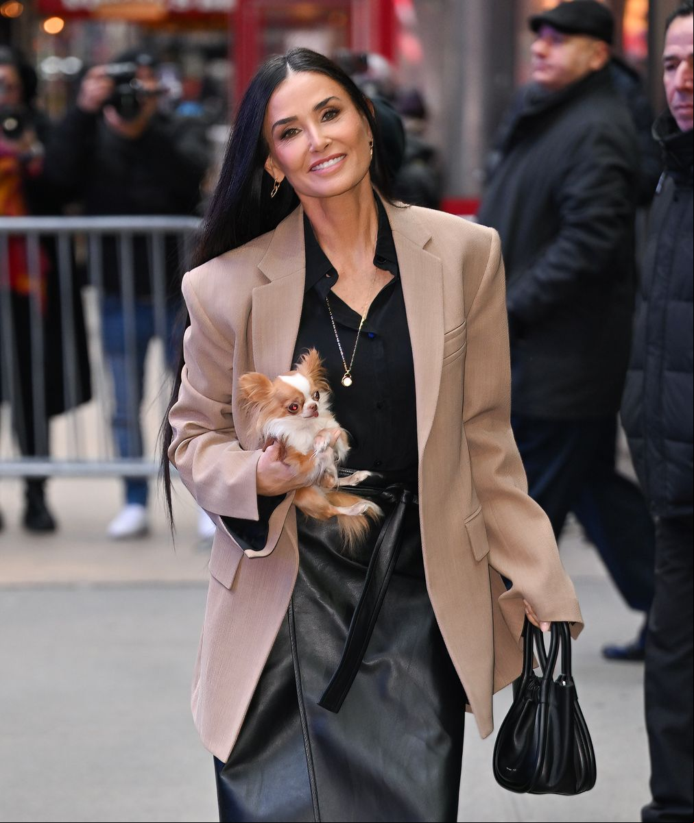 Demi Moore and dog, Pilaf arrive at ABC's "Good Morning America"